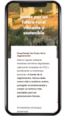 Diseño web optimizado